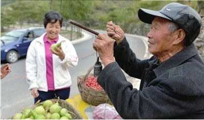 老汉植树28年600亩荒山成林